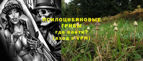 дурь Козельск