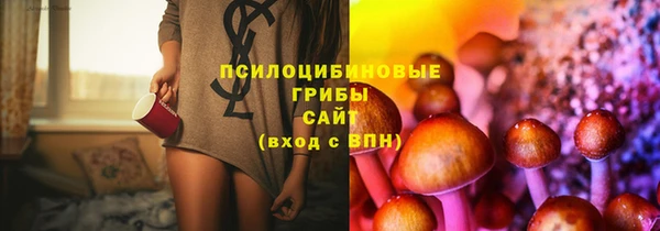MDMA Кодинск