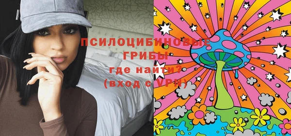 дурь Козельск