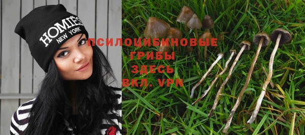 MDMA Кодинск