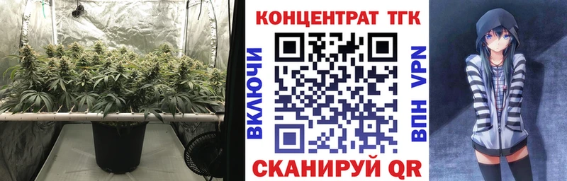ТГК Wax  Купить  Пионерский 