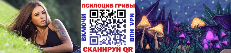Галлюциногенные грибы GOLDEN TEACHER  Купить закладки  Пионерский 